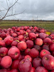 � 2025 ���� � ������� ����� ������ ��������� ������ �����