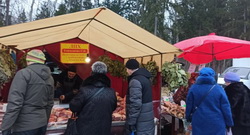 ������ �������������������� ������� � ���� ������