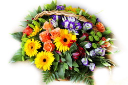 ���� 70-������ ������ �������� �������� ������ ���������� - ������������ ��������� ���������� ����� 